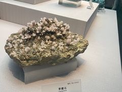 -湖南省地质博物馆