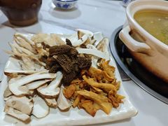 -蘑统田下·野生菌火锅