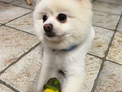 -零几体验diy皮具工作室(振业城店)