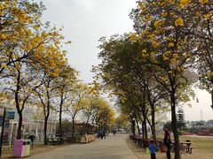 -盈香心动乐园