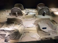 景点-洛阳周王城天子驾六博物馆