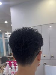 -YESIDO椰岛造型