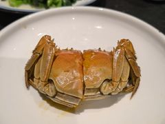 -金陵家宴·金陵春·南京菜(夫子庙店)