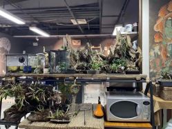 -周忆刺青原创设计定制