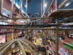 -卡通尼·Safari非洲探索乐园·生日会(金桥国际商业广场店)