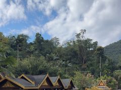 -西双版纳原始森林公园
