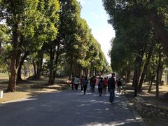 -上海多利农业发展有限公司