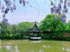 -上海醉白池公园