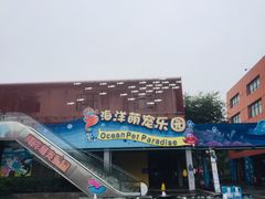-海合安武汉极地海洋公园