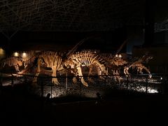 -世界恐龙谷景区