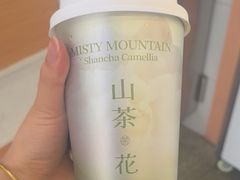 -雾与山茶(大禹城店)