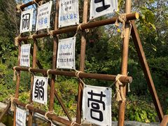 -沈阳植物园
