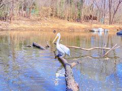 -济南野生动物世界