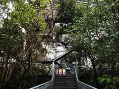 -佛山华盖山公园