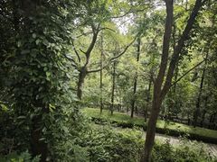 -常德桃花源景区