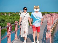 -北海金海湾红树林生态旅游区