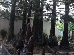 -中国湿地博物馆