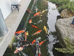 -贵阳高新惠诚食品有限公司