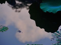 -荔湾湖公园