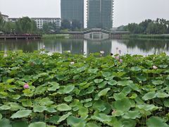 -西海子公园