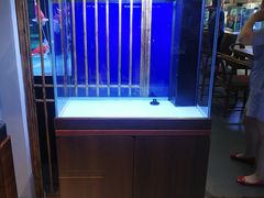 -保定市花鸟鱼虫市场