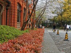 -上海静安洲际酒店