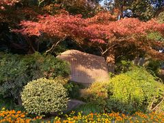 -杭州半山国家森林公园