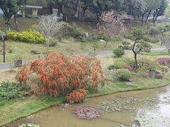 -东莞植物园