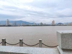 -江心屿景区