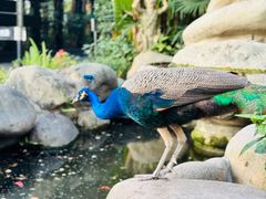 -J Create城市露营咖啡·简餐·宠物(上海动物园店)