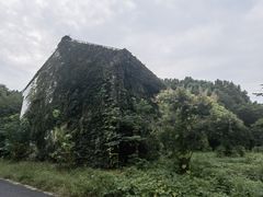 -广富林郊野公园