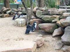 -费瑟代尔野生动物园