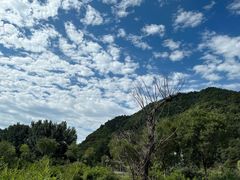-百里山水画廊乌龙峡谷