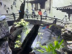 -常州海昌海洋探索馆