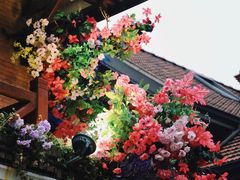 -思南公馆