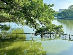 -东山湖公园