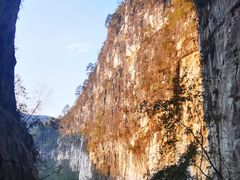 -百色大石围天坑群
