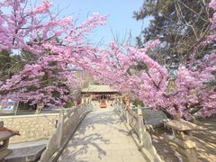-石岛赤山风景区
