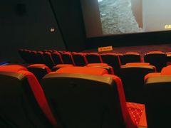 -金逸影城(荟聚IMAX激光店)
