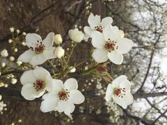 横店影城(东胜广场店)-横店电影城横影巨幕S-PLUS(港悦广场店)