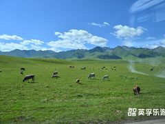 -新疆那拉提国家旅游度假区