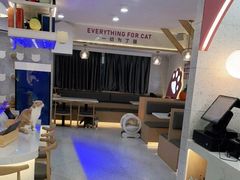 大堂-喵园·猫主题咖啡厅·撸猫·猫咖(国贸店)