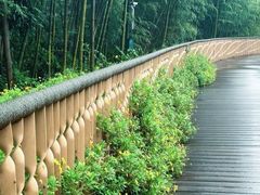-蜀南竹海景区