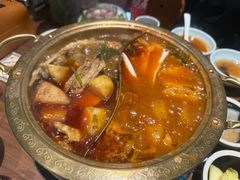 -大白羊蝎子馆(后沙峪山姆店)
