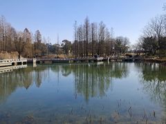 -白塘生态植物园