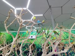 -昆明大悦城未来动物城(螺蛳湾中心店)