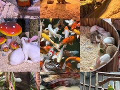 -正佳雨林生态植物园
