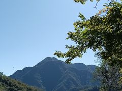 -大岭沟猕猴桃谷风景区