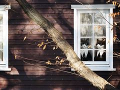 -三鹰之森吉卜力美术馆