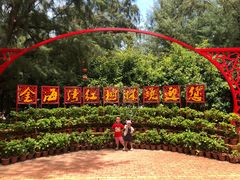 -北海金海湾红树林生态旅游区